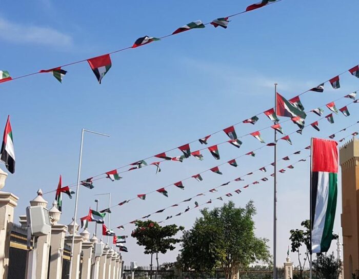 Bunting Flags - Image 3