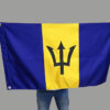 Hand Held Flags - Image 4