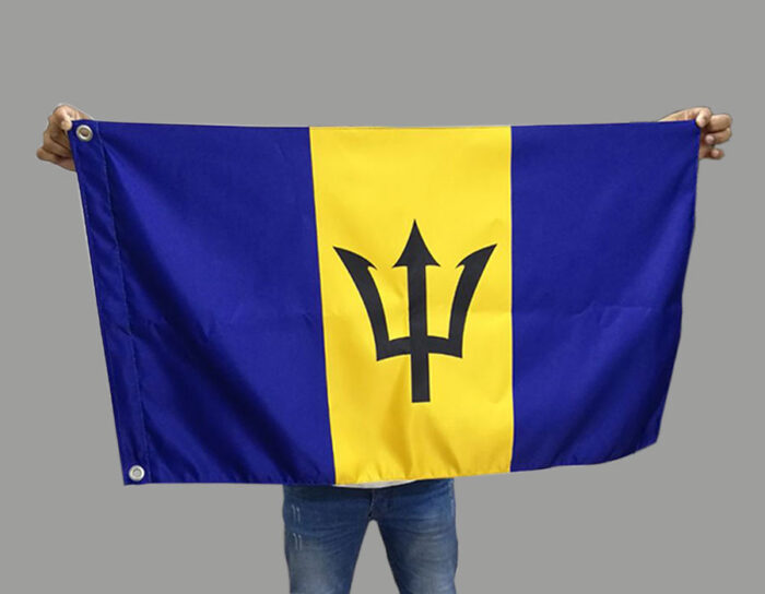 Hand Held Flags - Image 4